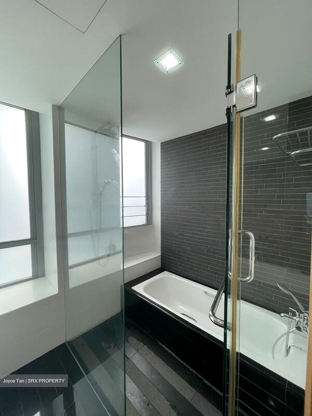 Park Infinia At Wee Nam (D11), Condominium #570203641